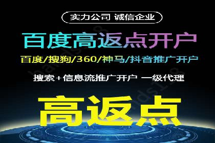 某行业领军企业的SEM广告投放策略